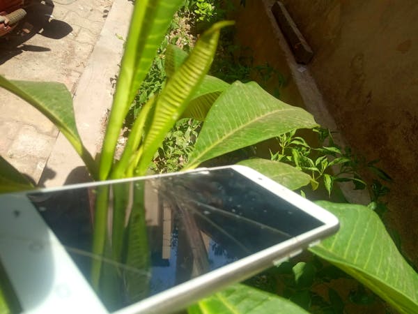 Limpieza de alfombras